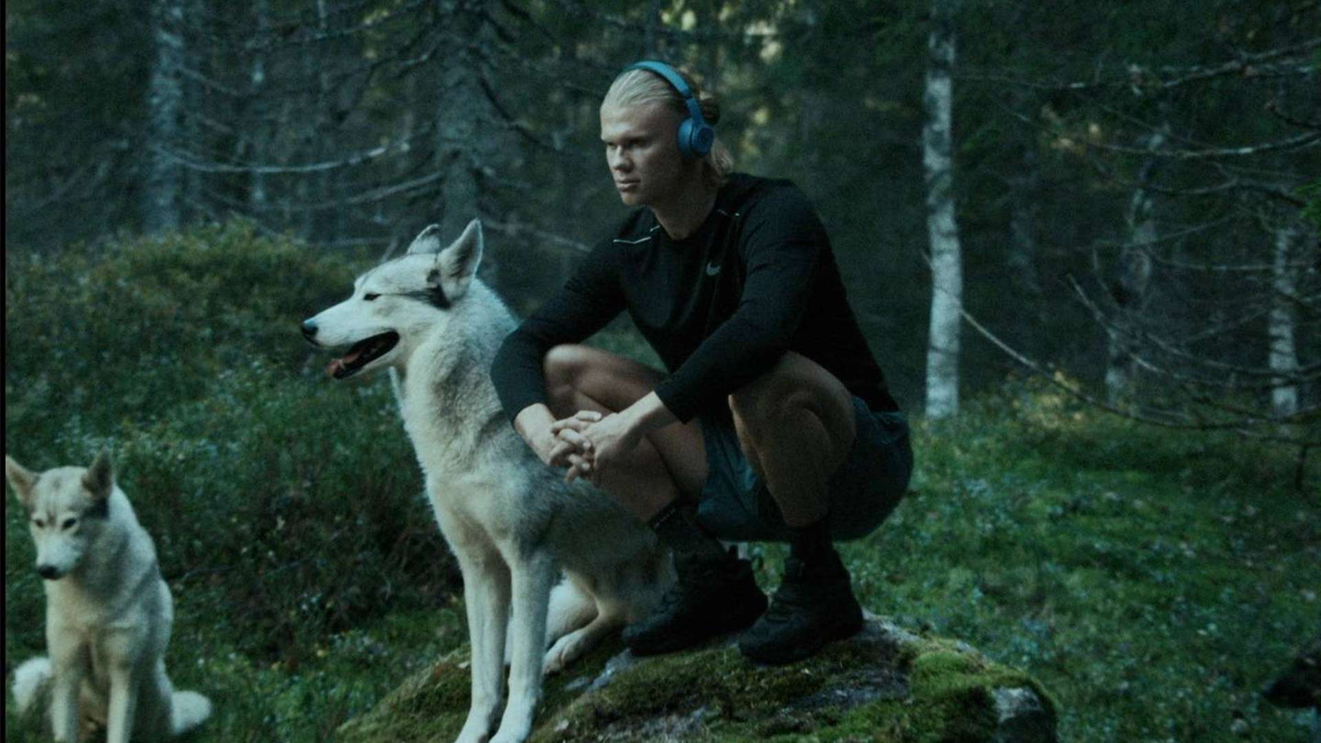 就已经超越 就已经超越